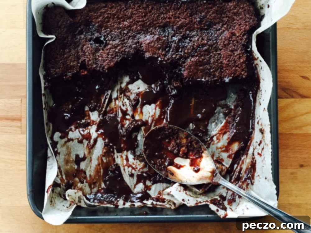 chocolate pudding cake 1