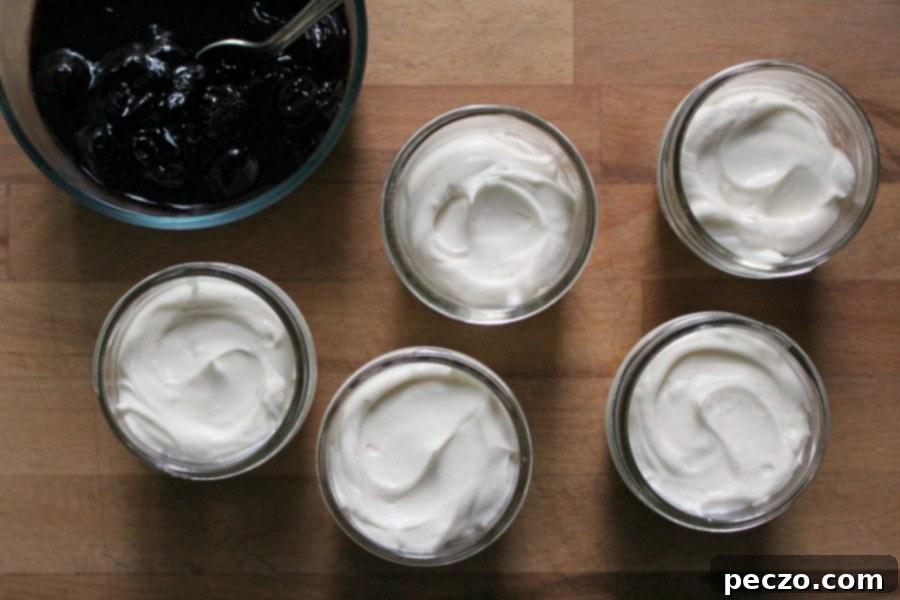 A single cheesecake in a jar, beautifully layered with crust, white filling, and a generous topping of fresh cherries, ready to eat.