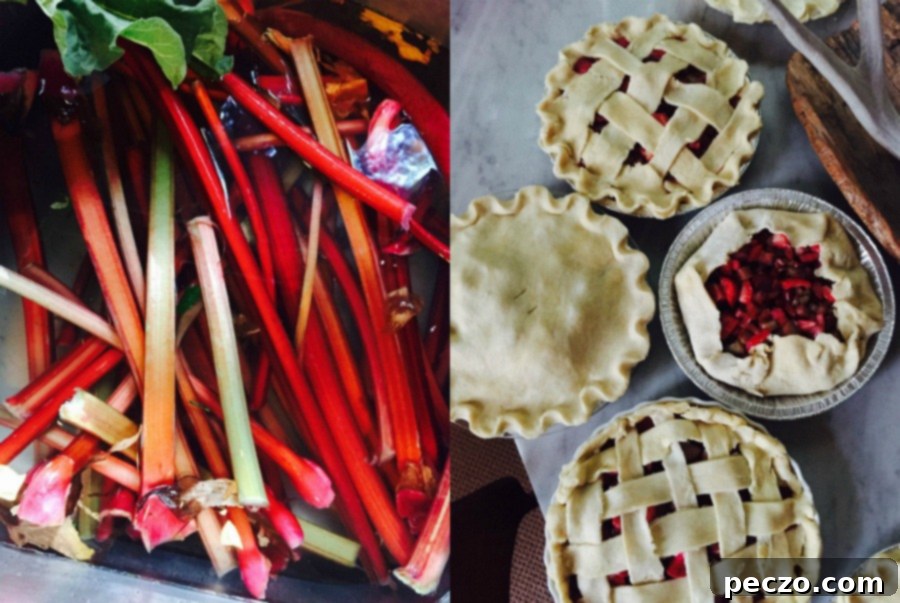 strawberry rhubarb pie 1