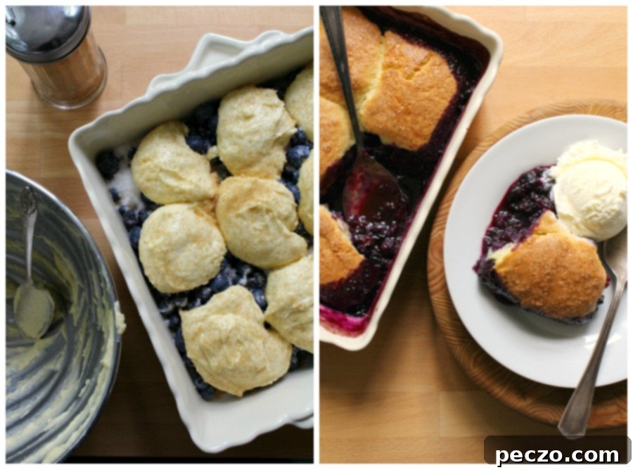 Close-up of baked blueberry grunt