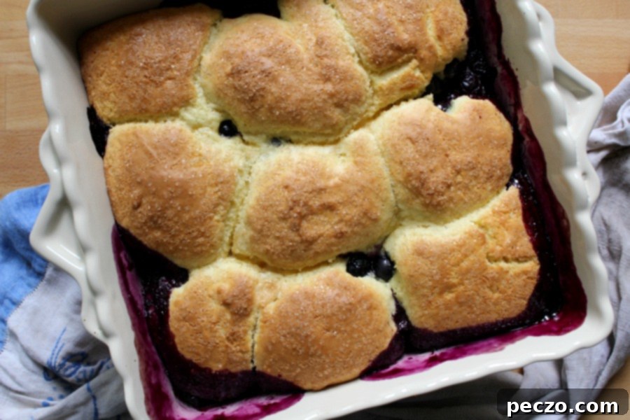 Blueberry grunt in baking dish