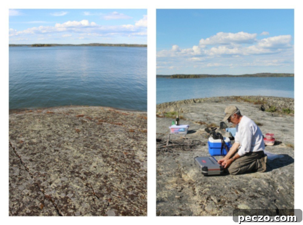 Preparing the shore lunch with fresh ingredients and a portable stove on the rocky island.