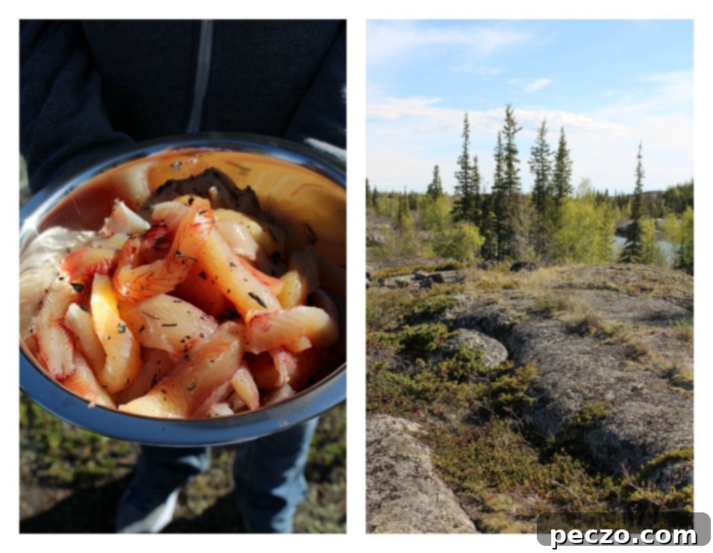 The delicious shore lunch spread, featuring freshly cooked fish, sourdough bread, and birch syrup squares.