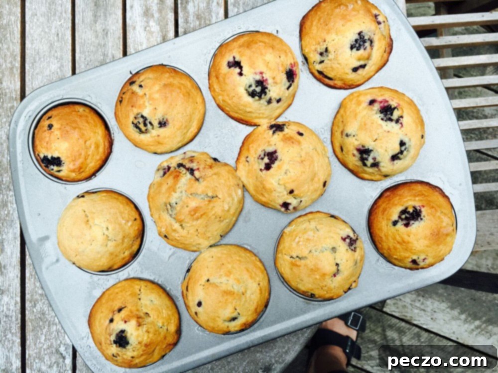 Any Berry Muffins