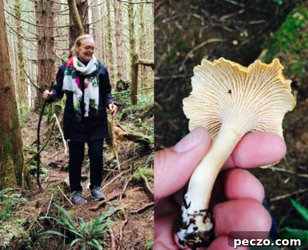 Foraging for chanterelle mushrooms with Anita Stewart in a Tofino forest