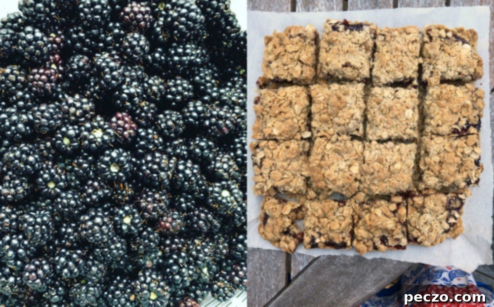 Close-up of baked blackberry crumble squares with crumb topping