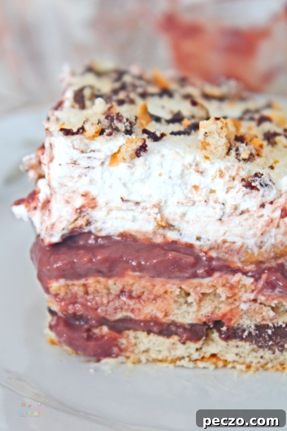 Close up image of a serving of chocolate lasagna dessert in a white serving plate, showing perfect layers.