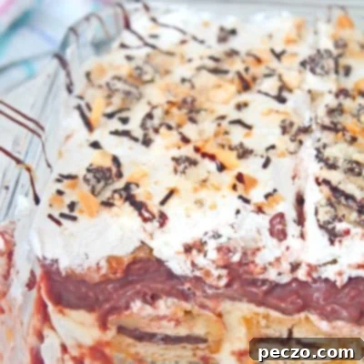 Close up image of a baking dish filled with chocolate lasagna recipe, showcasing the layered dessert.