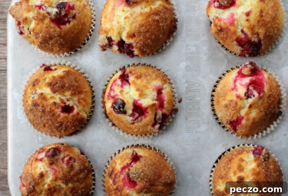 cranberry-orange-muffins-1
