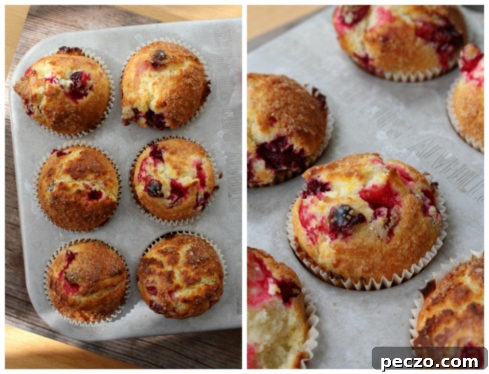 cranberry-orange-muffins-2