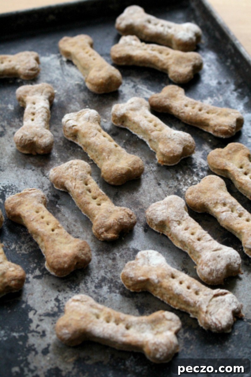 turkey-dinner-dog-treats-1