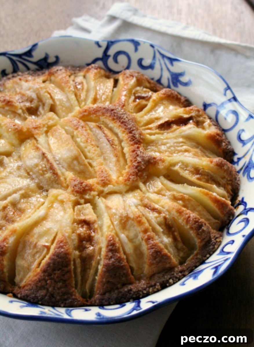 Overhead view of a freshly baked apple cake, displaying the beautifully arranged apple slices on top