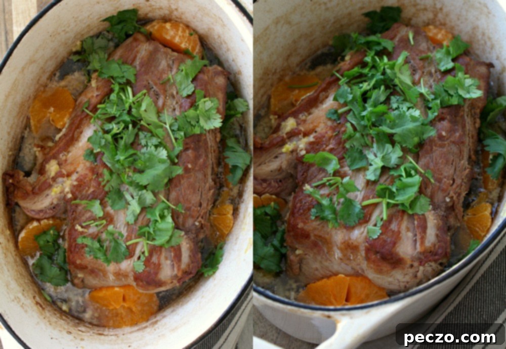 braised-pork-w-mandarins-12