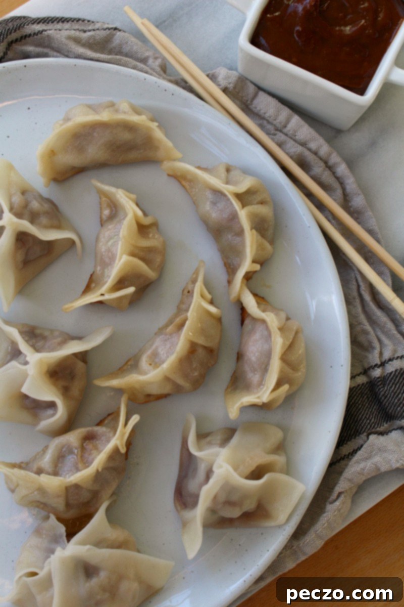 Dumplings + potstickers 2