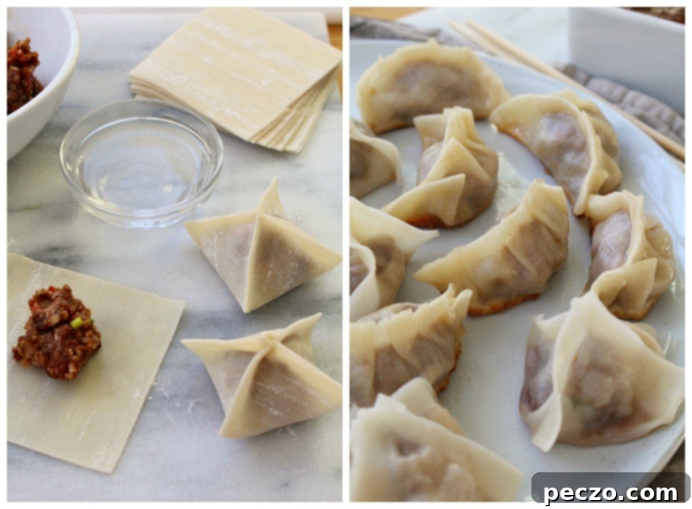 Dumplings + potstickers 12