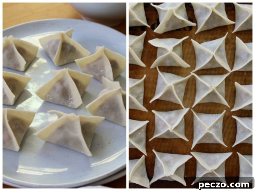 Dumplings + Potstickers 11