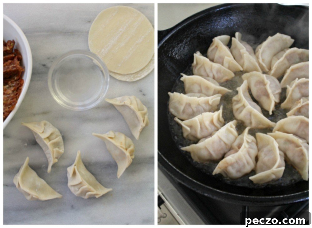Potstickers 5