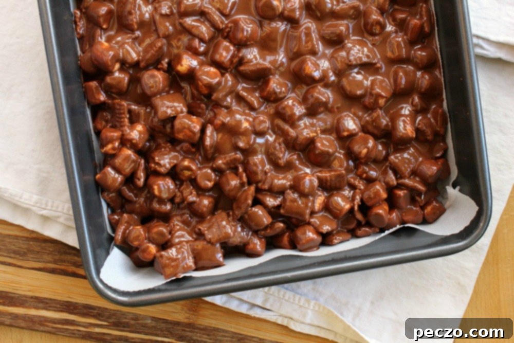 chocolate marshmallow squares 2