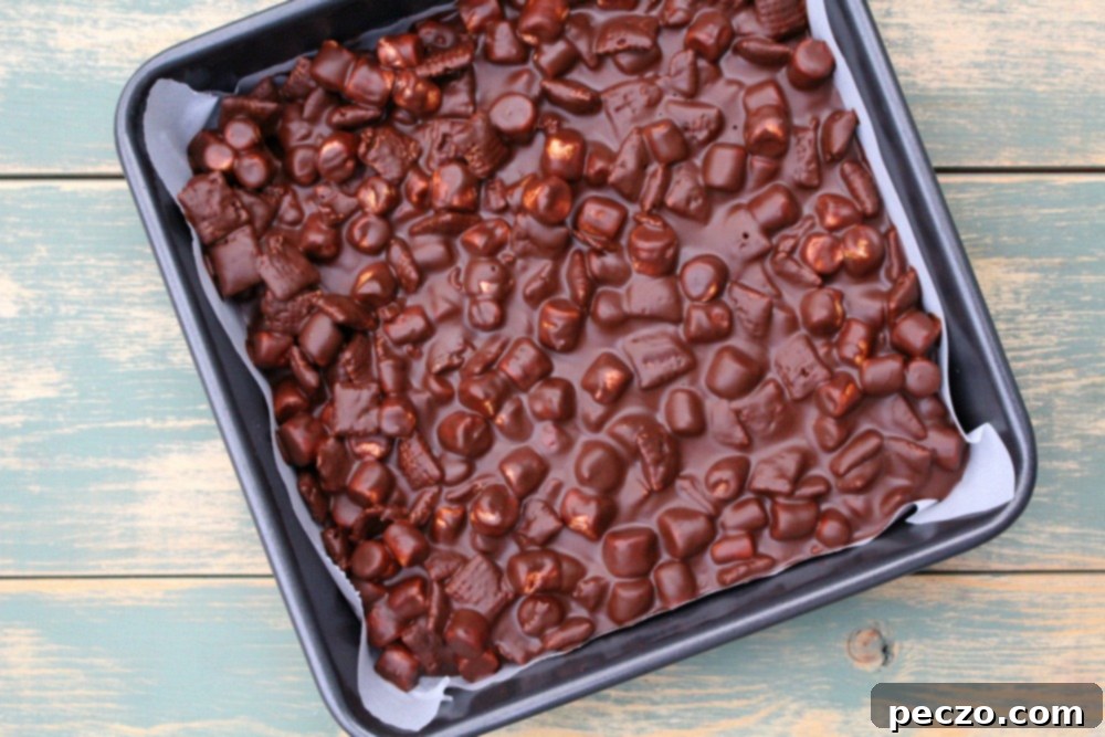 chocolate marshmallow squares 3