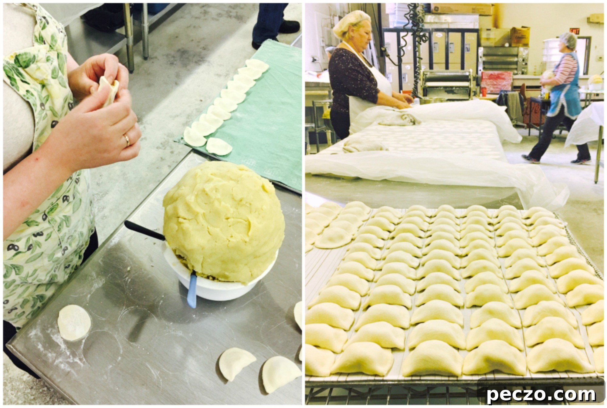 Baba's Perogies - Freshly made perogies on a tray