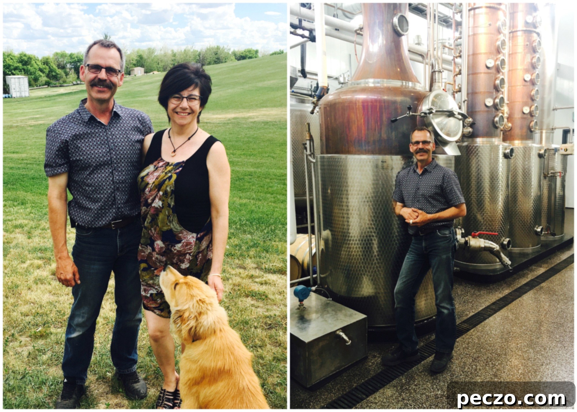 Black Fox Distillery - Beautiful farm setting with lush greenery