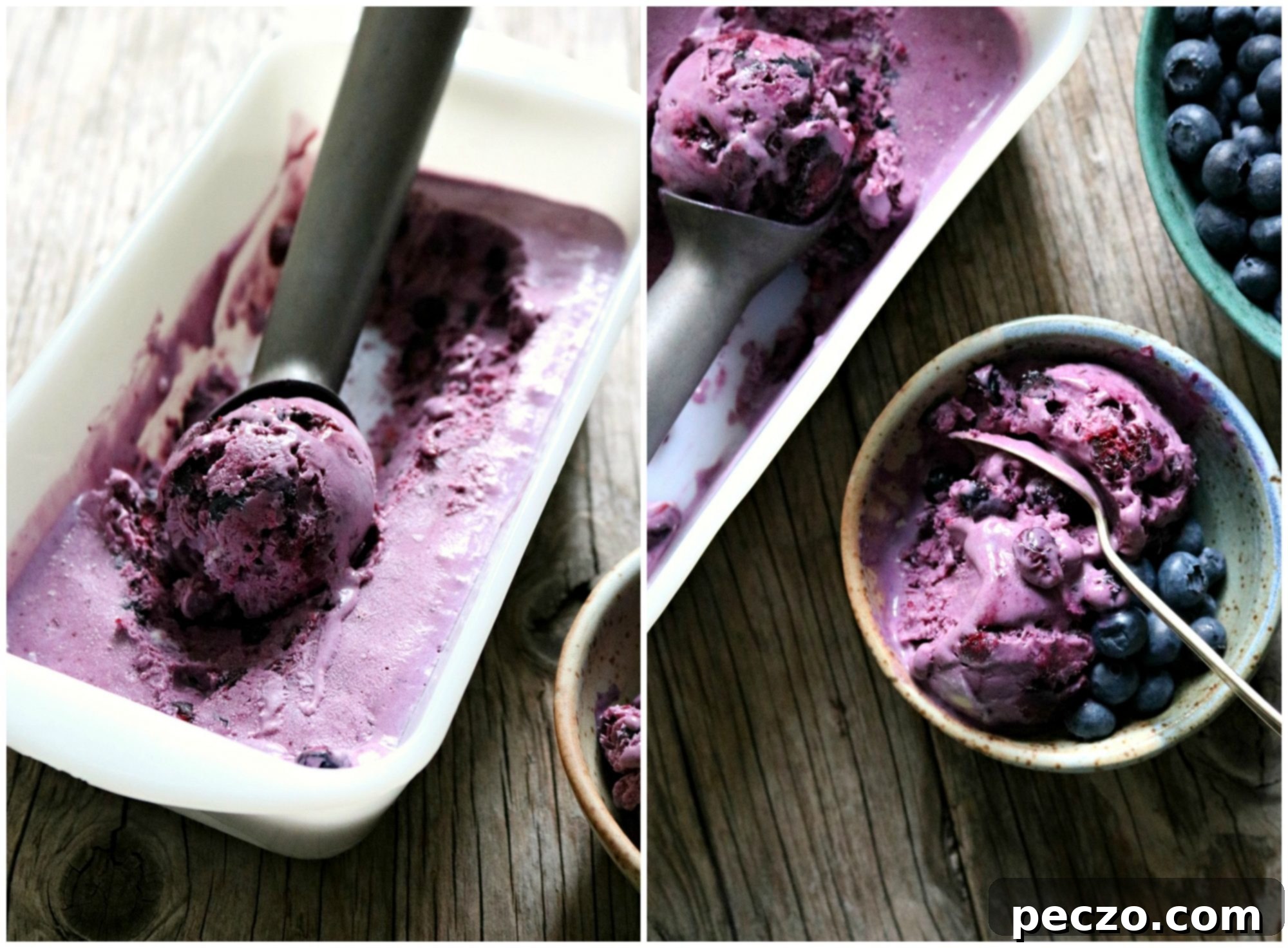 Close-up of fresh blueberries for ice cream.
