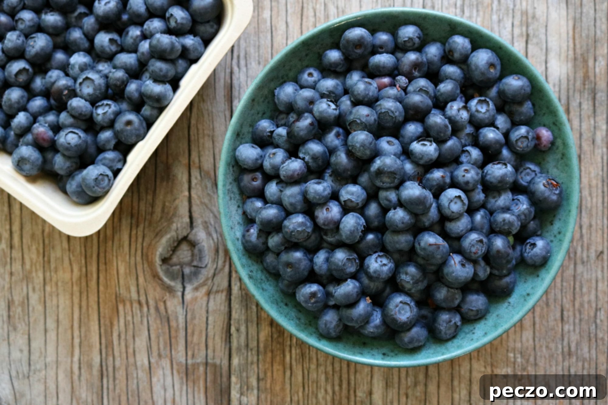 Basket of ripe BC blueberries, ready for cooking.