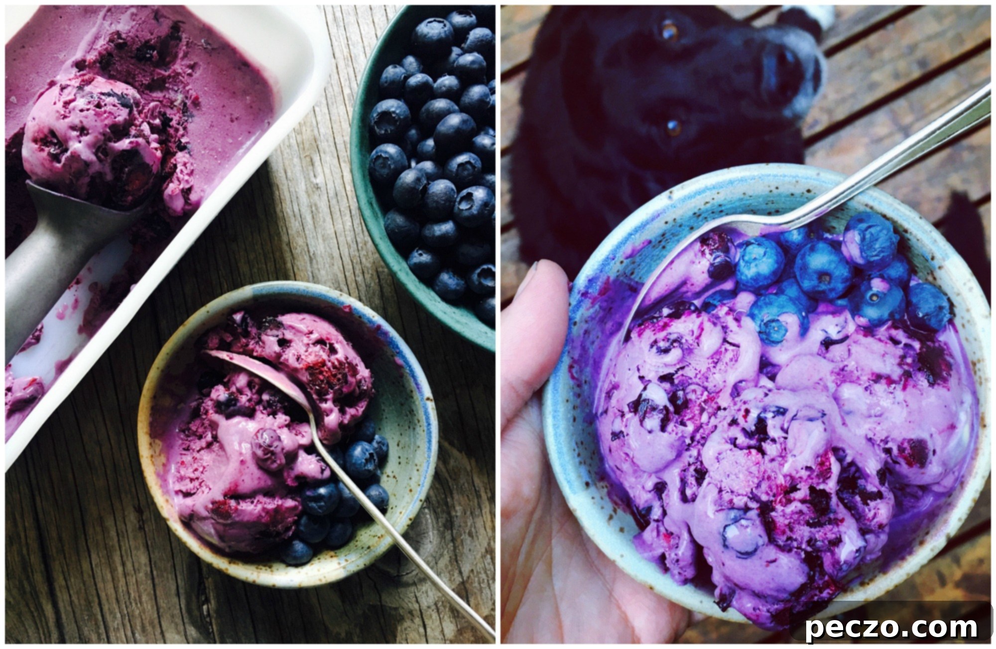 A scoop of homemade blueberry ice cream in a bowl.