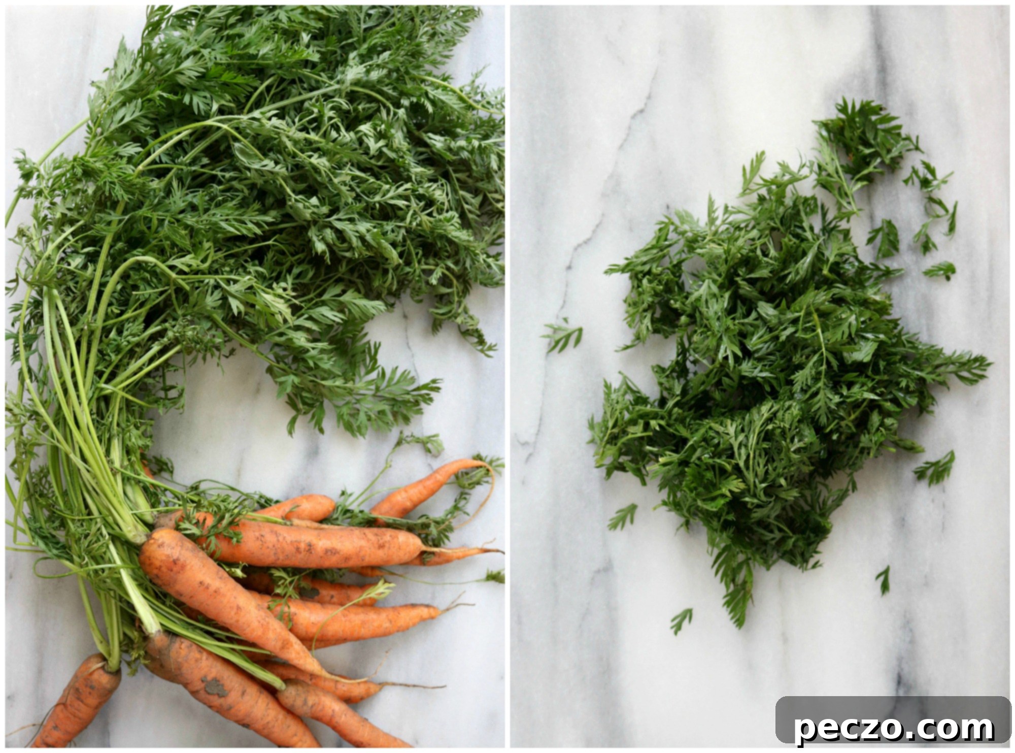 Carrot greens