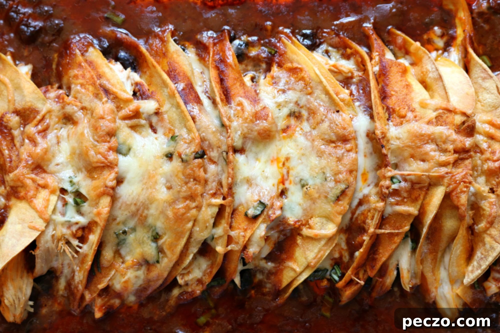 Chicken Enchiladas 1
