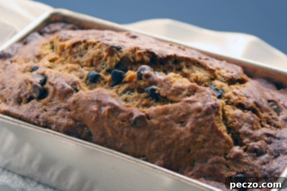 A delicious slice of homemade chocolate chip pumpkin loaf, fresh from the oven, ready to be enjoyed.