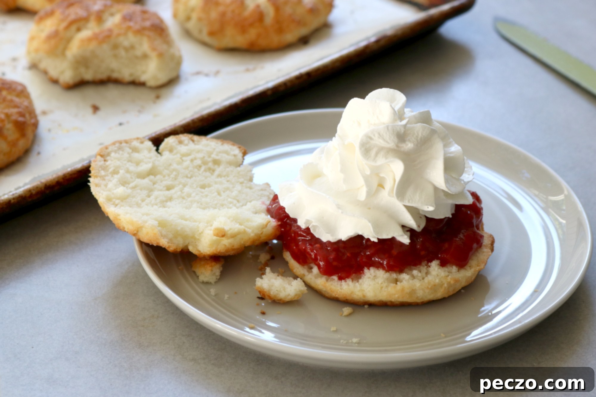 Freshly baked raspberry-rhubarb shortcakes with whipped cream and compote