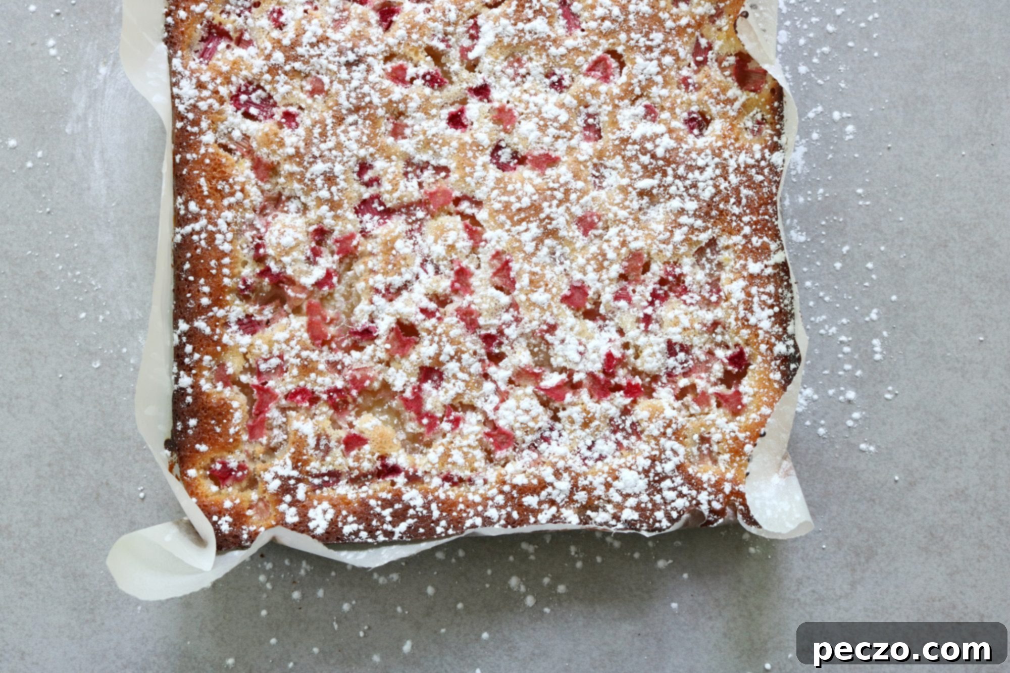 Rhubarb Lemon Bars cooling in a pan, ready to be cut.