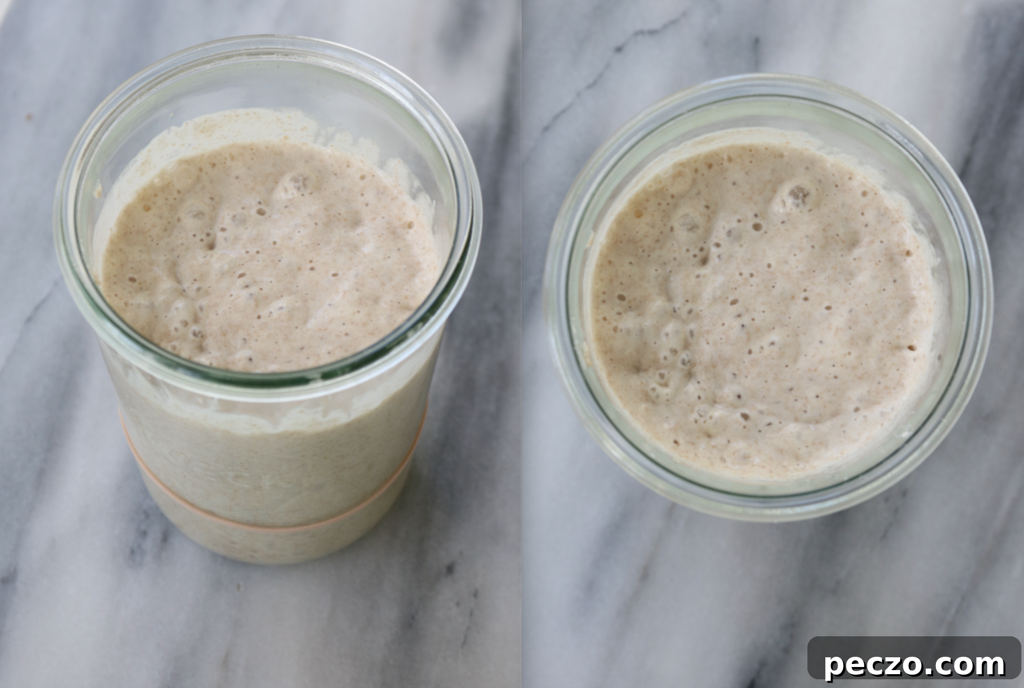 Sourdough Starter