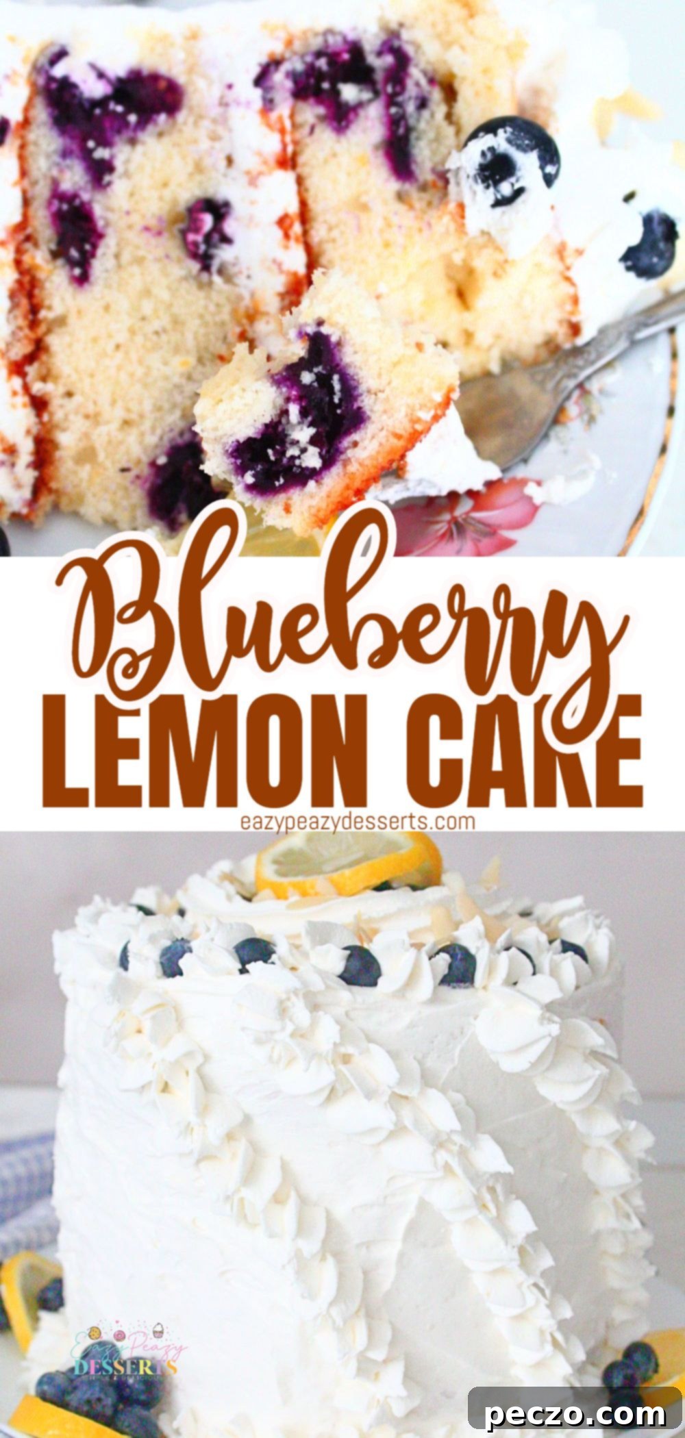Photo collage of blueberry lemon cake, on a cake stand and a close up of a bite