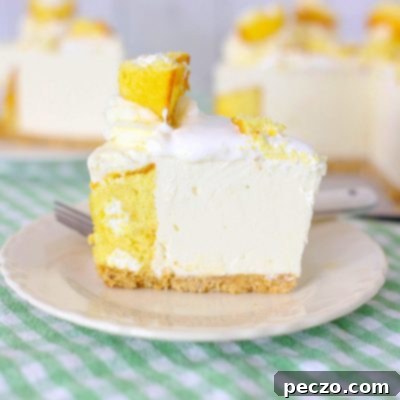 No bake cheesecake with Twinkies on a white dessert plate