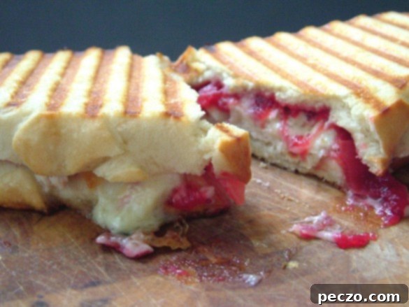 Gourmet Turkey Brie Panini, perfect for Thanksgiving leftovers