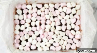 Gooey Smores Bars 11 img 3316 10