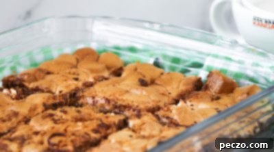 Gooey Smores Bars 12 img 3316 11