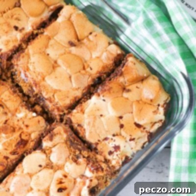 Gooey Smores Bars 7 Close up image of smores bars in a baking pan