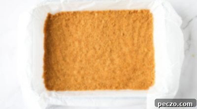 Gooey Smores Bars 9 img 3316 8