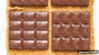 Gooey Smores Bars 10 img 3316 9