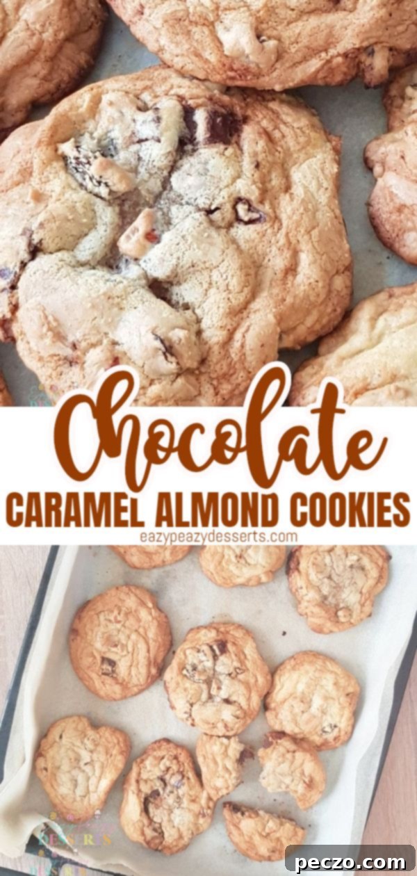 Chocolate caramel cookies with a beautiful drizzle