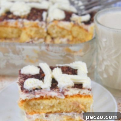 Close up image of Christmas tiramisu with eggnog