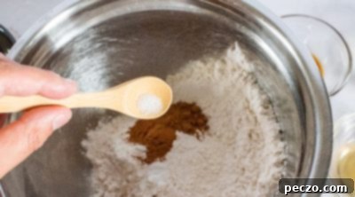 Combining dry ingredients for vegan pumpkin donuts in a bowl.