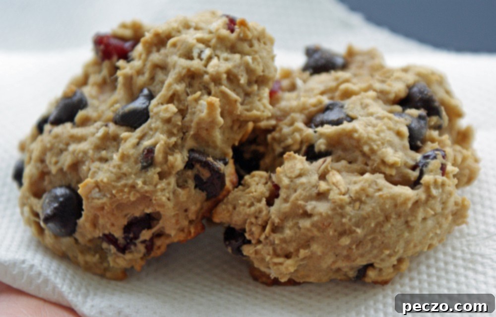 bean cookies, healthy snack, oatmeal cookies