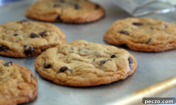 SONY DSC - Freshly baked chocolate chip cookies