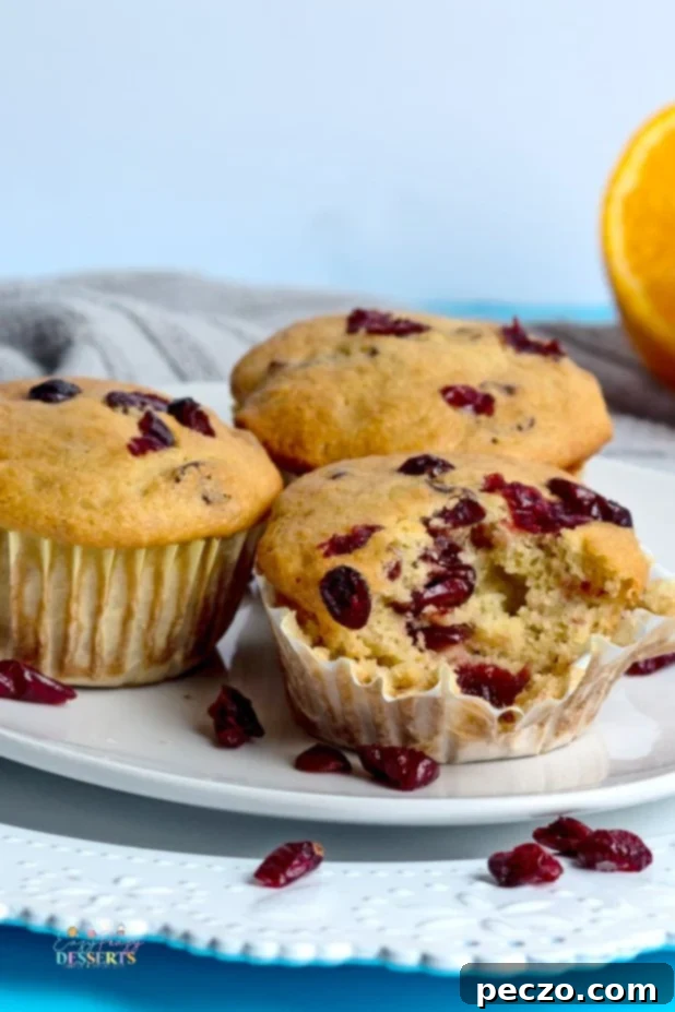 Sweet & Tart Vegan Orange Cranberry Muffins 2 Close up image of orange cranberry muffins on a serving plate