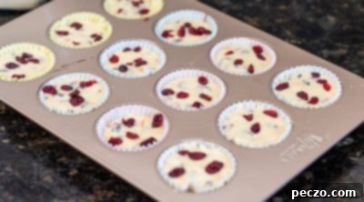 Sweet & Tart Vegan Orange Cranberry Muffins 12 img 3593 11