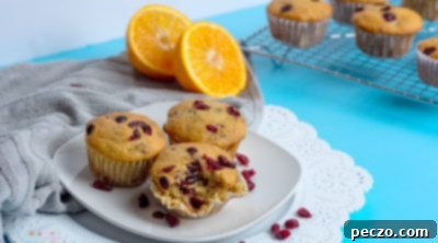 Sweet & Tart Vegan Orange Cranberry Muffins 13 img 3593 12